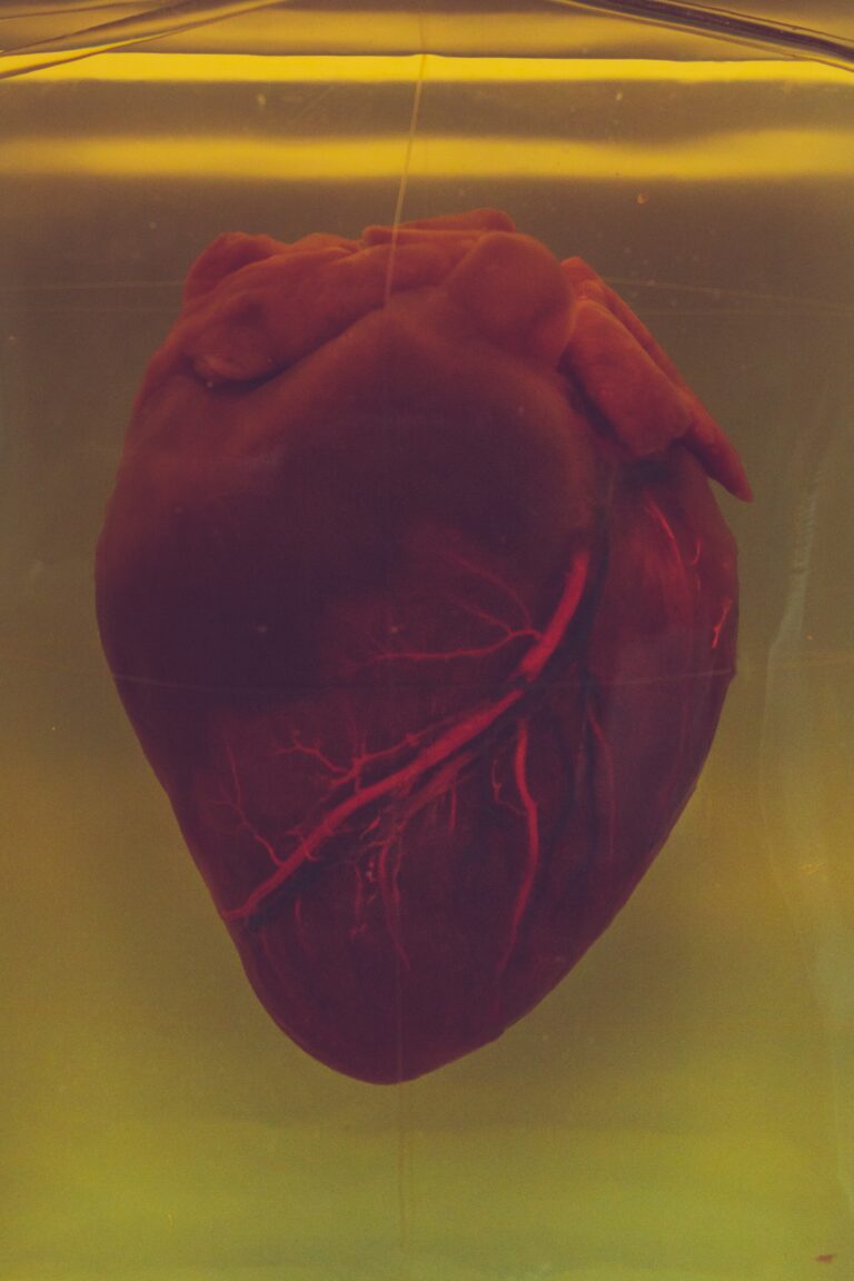 HEART PROBLEM